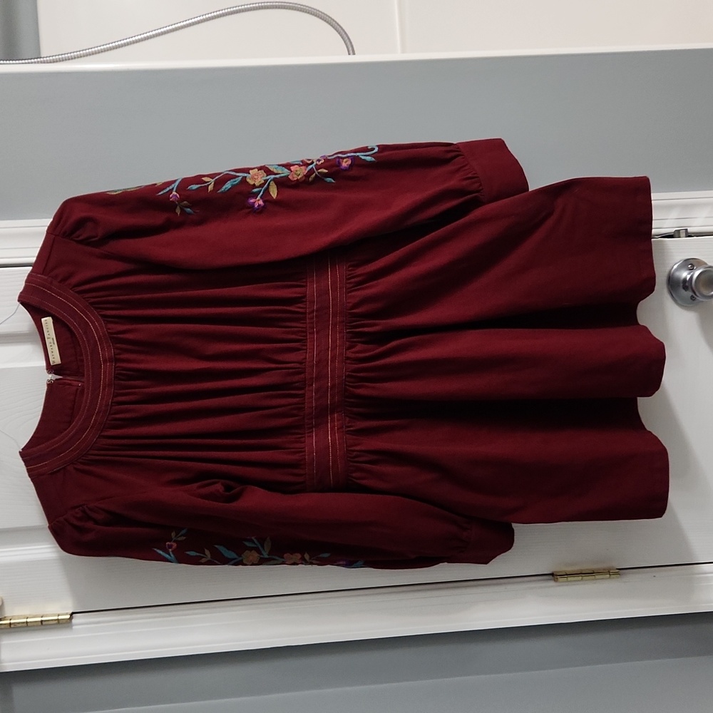 Wayward fancies embroidered sleeve dress